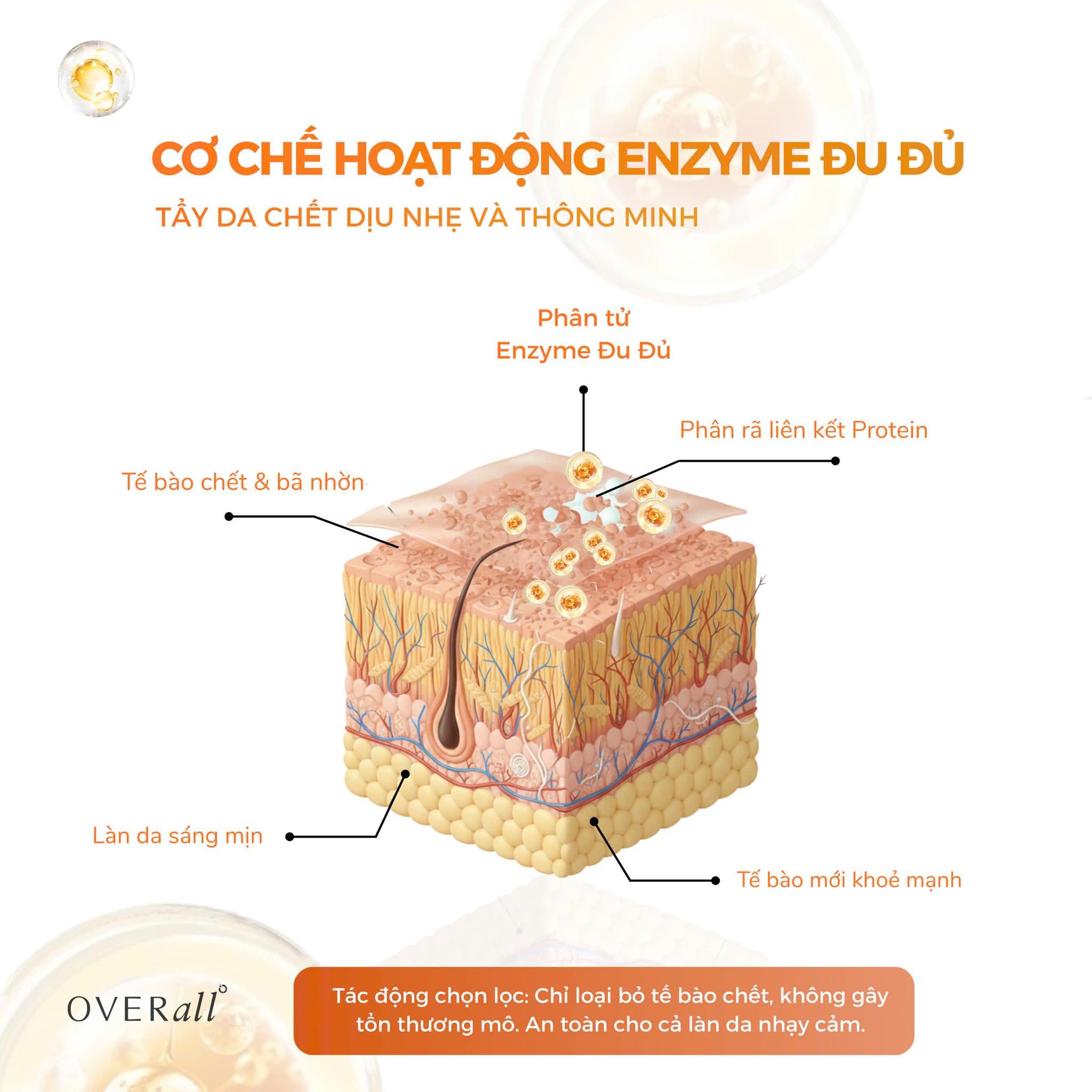 Bí Quyết “Cứu Rỗi” Làn Da Viêm Nang Lông Và Dày Sừng Nhờ Enzyme Đu Đủ